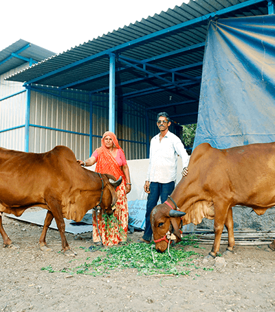 Bhilwara Milk Company